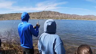 Mike catching huge lightning trout at Lake Palmdale