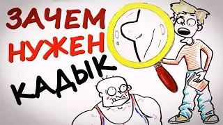 Зачем нужен КАДЫК? — Научпок