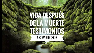 Vida después de la muerte: testimonios asombrosos