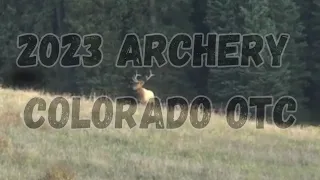 2023 Archery Colorado OTC Elk Hunt