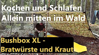 Bushcraft deutsch - Herbstlicher Overnighter allein im Wald | Bushbox XL beim ersten Einsatz