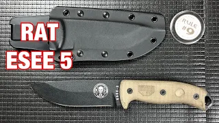 RAT ESEE 5 Fixed Blade Review