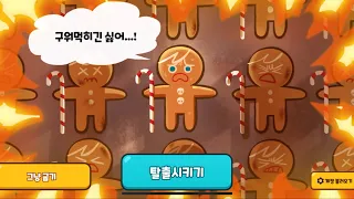 용감한 쿠키를 굽게 한다면[쿠키런]