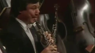 Tchaikovsky - Oboe solo in Swan lake. Alexander Koreshkov