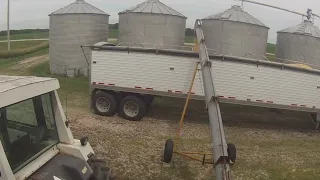 HAULING CORN day 1