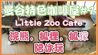 【曼谷自由行】 【浣熊Cafe】 【Little Zoo Cafe】浣熊狐狸狐獴陪你玩，泰国旅游