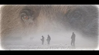 Alaska Katmai Brown Bears Feed On Sockeye Salmon