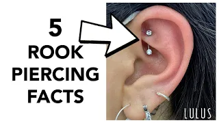 5 Important Facts About Rook Piercings!!