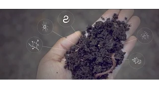 Soil Solutions to Climate Problems - Narrated by Michael Pollan
