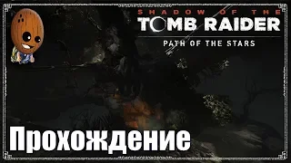 Shadow of the Tomb Raider - Прохождение #31➤ Гробница "Дерево жизни". Жизни тут не много.
