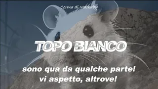 Topo Bianco - Corma di Machaby - sono qua da qualche parte! vi aspetto, altrove!