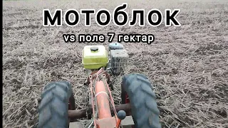 ОБРАБОТАТЬ МОТОБЛОКОМ 7ГА? ЗА ДЕНЬ? мы смогли! мотоблок мтз 9hp на колесах gruberg с бдт