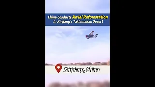 #China conducts aerial reforestation in #Xinjiang's Taklamakan #Desert #fyp #2022