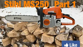 Episode #66 Stihl MS250 Cutting Firewood Part 1   SD 480p