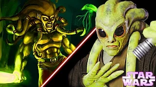 10 Interesting Facts About KIT FISTO - Star Wars Explained