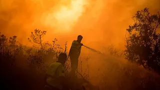 Incêndios florestais não dão tréguas nos países da Bacia Mediterrânica