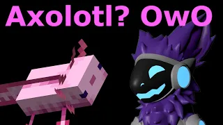 A Protogen sees an Axolotl for the first time (volume warning again)