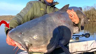 Epic 88lb Catfish Battle - Fishing For Giant Catfish on a Big River