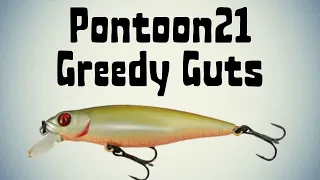 ВОБЛЕР НА КАЖДЫЙ ДЕНЬ! Pontoon21 Greedy Guts