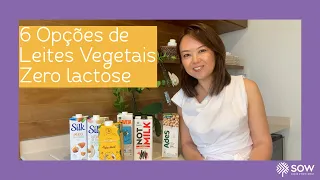 6 Opções de Leites Vegetais Zero Lactose