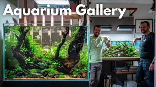 Traum Aquarium Gallery bei Alex zu Hause! Liquid Nature on Tour