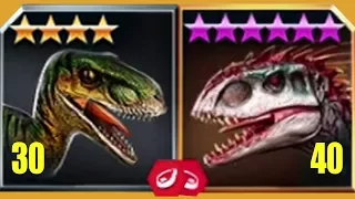 VELOCIRAPTOR Vs INDOMINUS REX - Jurassic World The Game