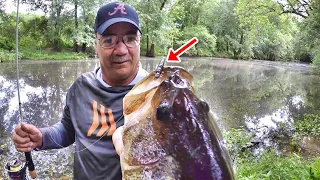 This Jig Catches Fish From The Bank Like A Machine!