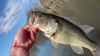 Figuring out the Early Spring Bass Bite (Kayak Adventure)