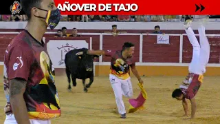 😷 ¡VOLVIERON LOS TOROS A ESPAÑA!... ¡CON MASCARILLA! ▶4K | AÑOVER DE TAJO | Recortadores