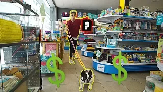 COMPRANDO TODO LO QUE TOQUE MI PERRO!! **SE GASTA MUCHO DINERO** [Logan G]