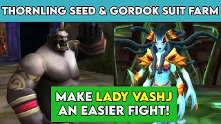 Make Lady Vashj Easy - Thornling Seed & Gordok Suit Farm! - WoW TBC