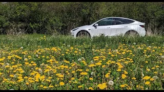 Tesla Model Y: Революция или масова психоза? (ТЕСТ)