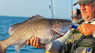 The EASIEST Way to Catch GIANT SNAPPER ** MONSTER MANGROVE SNAPPER SECRET **