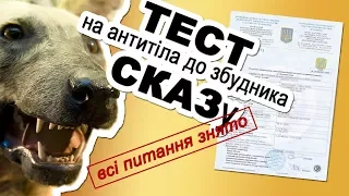 ВІДПОВІДІ НА ВСІ ПИТАННЯ: Тест на наявність антитіл до сказу. Скільки він діє? - ЦМСС-9