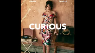 Camila Cabello - Curious (Snippet)