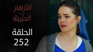 مسلسل الأزهار الحزينة | الحلقة 252 - الموسم الثاني