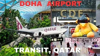 Hamad International Airport | Walking In Qatar Airport .