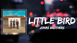 Little Bird Lyrics - Jonas Brothers