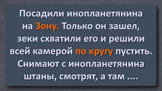 Анекдот на Ночь! Инопланетянин попал на Зону!