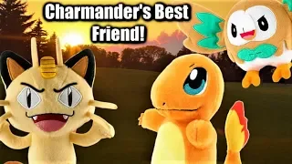 Charmander's Best Friend! - Pokemon Plush Pals