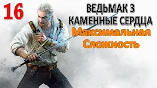 Ведьмак 3 Каменные Сердца Проф. Прохождение Ч.16 - Профессор Шезлок/Новиградское Гостеприимство (К)