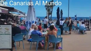 GRAN CANARIA - PLAYA DEL INGLES. Der Wind lässt uns die Sonne genießen. MÄRZ 2024