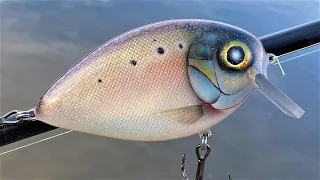 Making a Bunker Fish CrankBait (Menhaden)