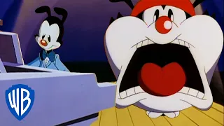 Animaniacs | Another Burpee Song | Classic Cartoon | WB Kids