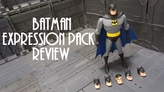 DC Collectibles Batman Expression Pack : Batman the animated series Action Figure Review