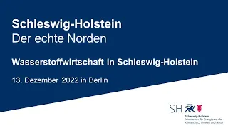 Wasserstoffwirtschaft in Schleswig-Holstein, Podiumsgespräch