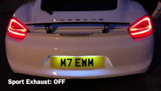 Porsche Cayman S 981 Start Up and Rev - Beautiful Sound