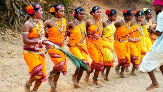 Rinjodi Dance, Paroja Tribe, Odisha (Hindi)