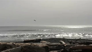 Brookings Oregon March 2019 Surf south of the harbor mouth