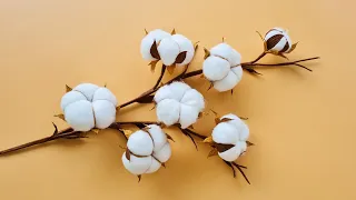 How To Make Cotton Flower / Paper Flower / Góc nhỏ Handmade
